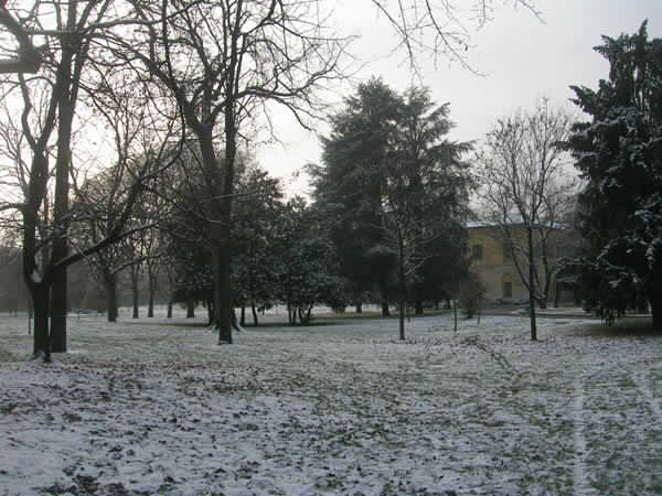 Parco di Villa Finzi. Sotto la neve